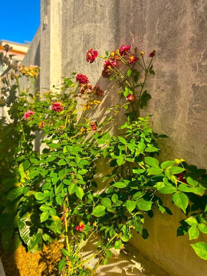 Lisabonna Guest House Amadora Exterior foto